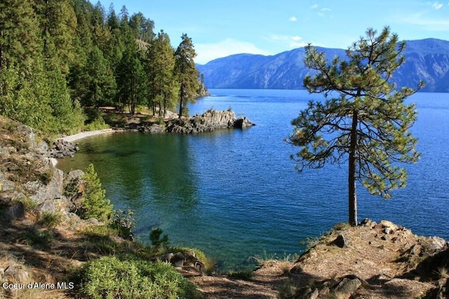 water view featuring a mountain view