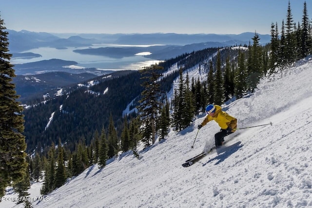 mountain view with a wooded view