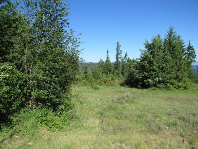 LOT8 Mariposa Ct, Harrison, ID 83833 - photo 1