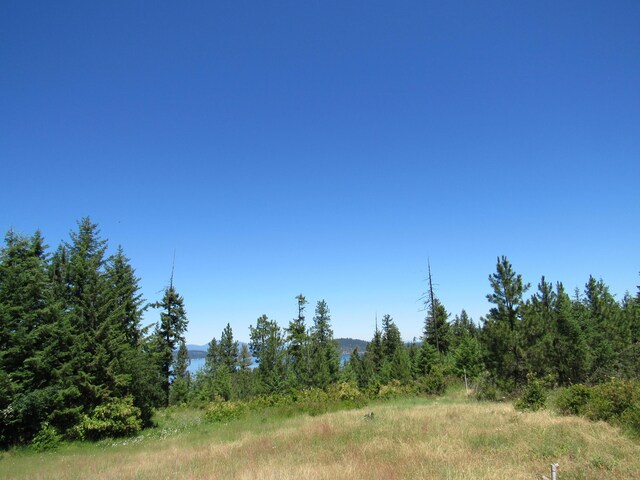 LOT8 Mariposa Ct, Harrison, ID 83833 - photo 2