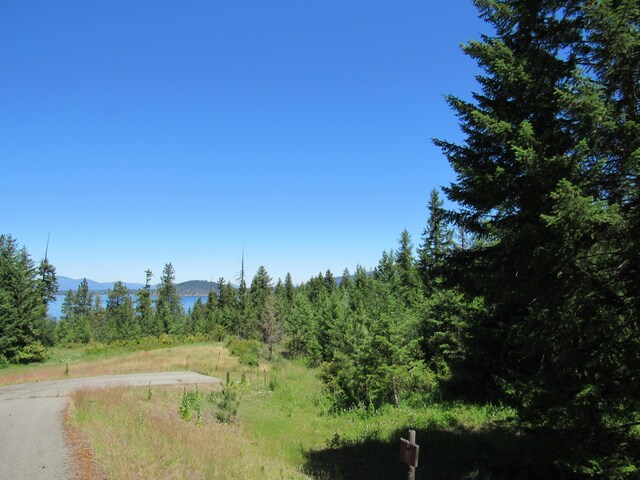 LOT8 Mariposa Ct, Harrison, ID 83833 - photo 3