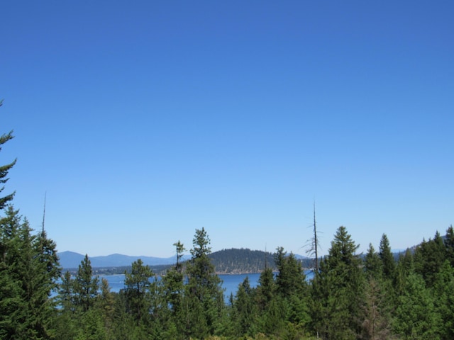 LOT8 Mariposa Ct, Harrison, ID 83833 - photo 5