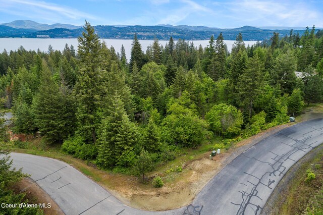 LOT8 Mariposa Ct, Harrison, ID 83833 - photo 8