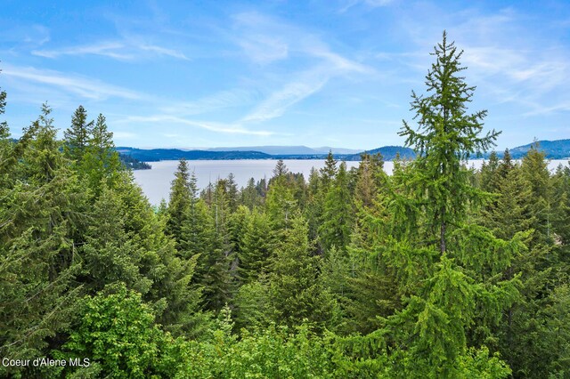 LOT8 Mariposa Ct, Harrison, ID 83833 - photo 9
