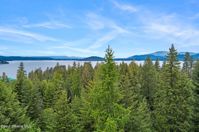 LOT8 Mariposa Ct, Harrison, ID 83833 - photo 10