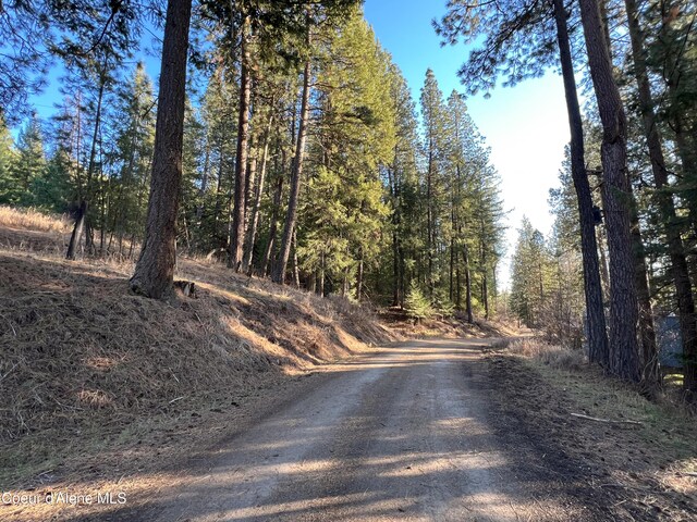 NNA Benewah Rd, Harrison, ID 83833 - photo 4