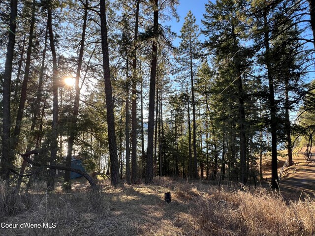 NNA Benewah Rd, Harrison, ID 83833 - photo 8