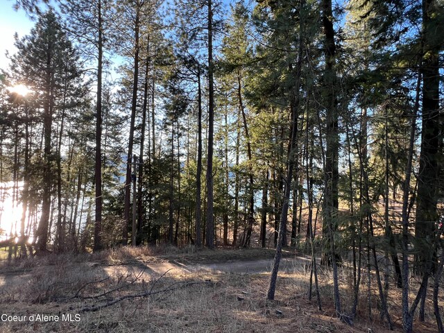 NNA Benewah Rd, Harrison, ID 83833 - photo 10