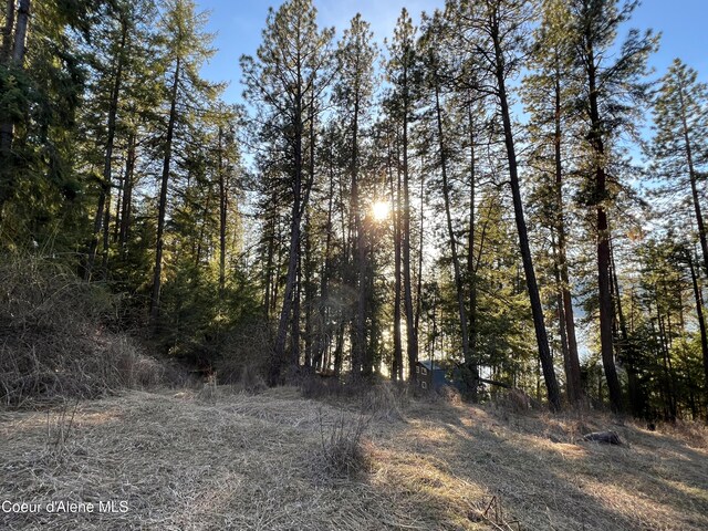 NNA Benewah Rd, Harrison, ID 83833 - photo 11