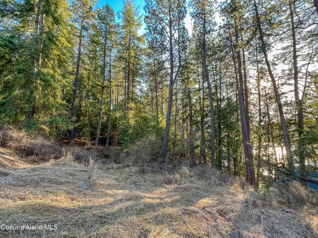 NNA Benewah Rd, Harrison, ID 83833 - photo 12