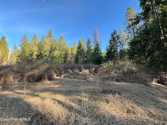 NNA Benewah Rd, Harrison, ID 83833 - photo 14