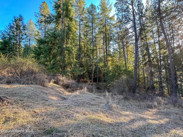 NNA Benewah Rd, Harrison, ID 83833 - photo 15