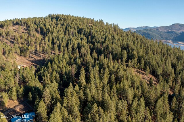 NNA Benewah Rd, Harrison, ID 83833 - photo 17