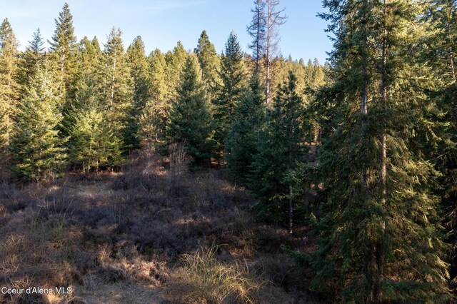 NNA Benewah Rd, Harrison, ID 83833 - photo 27