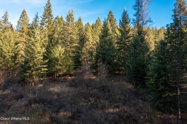 NNA Benewah Rd, Harrison, ID 83833 - photo 30