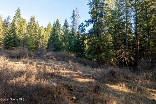 NNA Benewah Rd, Harrison, ID 83833 - photo 29