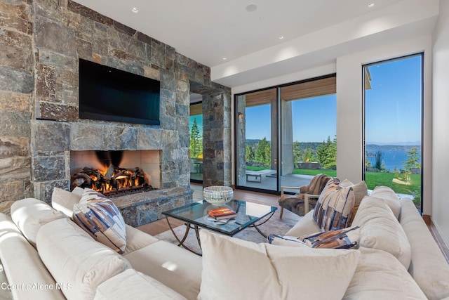 living room with a stone fireplace and wood finished floors