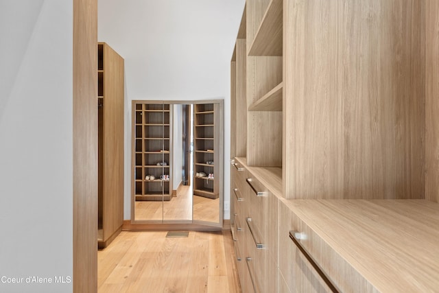 spacious closet with light wood-style flooring