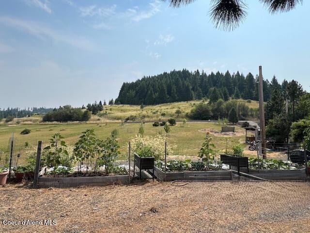 view of yard featuring a vegetable garden and a rural view