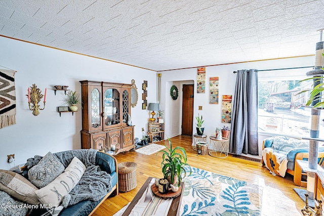 315 Montana St, Mullan, ID 83846 - living area featuring a textured ceiling, wood finished floors, and crown molding