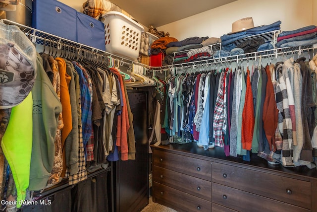 view of spacious closet