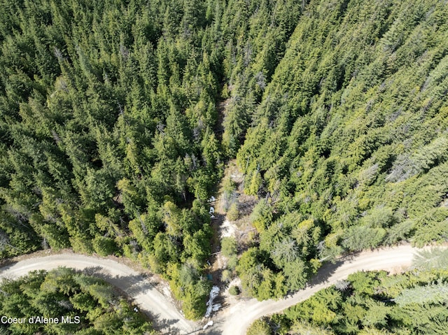 20ACRES Canoe Point Rd, Coolin, ID 83821