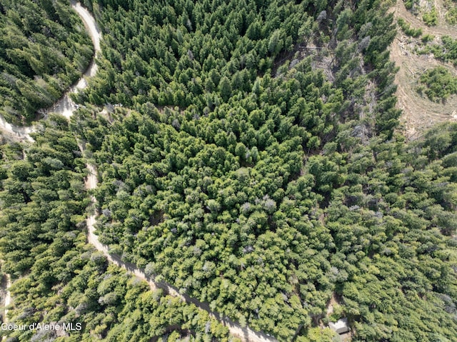 20ACRES Canoe Point Rd, Coolin, ID 83821