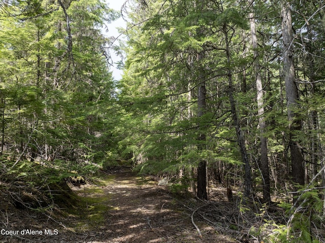 20ACRES Canoe Point Rd, Coolin, ID 83821