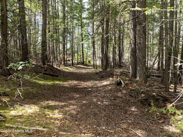 20ACRES Canoe Point Rd, Coolin, ID 83821