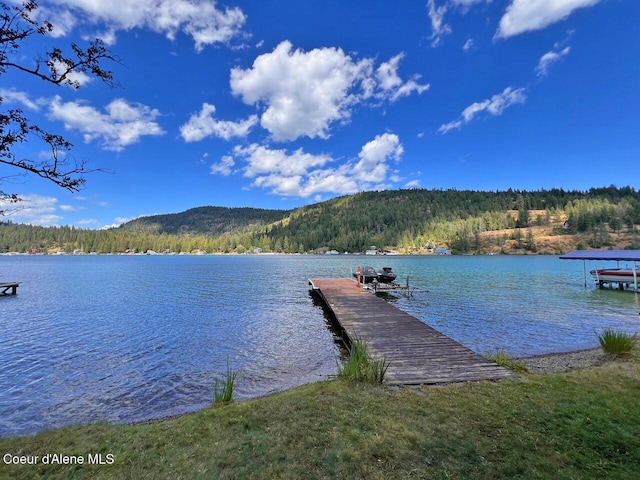 dock area with a water view and a view of trees