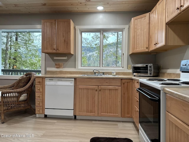 kitchen featuring a toaster, range with electric cooktop, white dishwasher, light countertops, and a sink