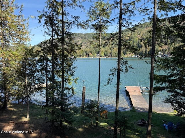 property view of water with a forest view and a boat dock