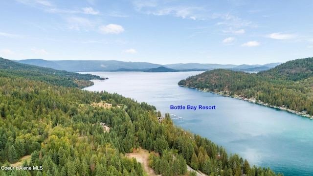 drone / aerial view with a water and mountain view and a wooded view