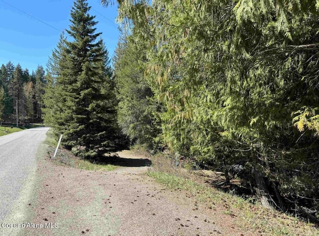 view of road featuring a view of trees