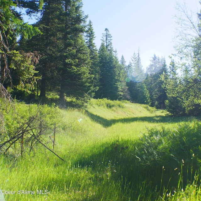 3861 Sanders Rd, Saint Maries ID, 83861 land for sale