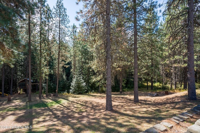 view of yard featuring a wooded view