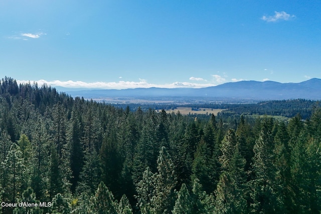 view of mountain feature with a forest view