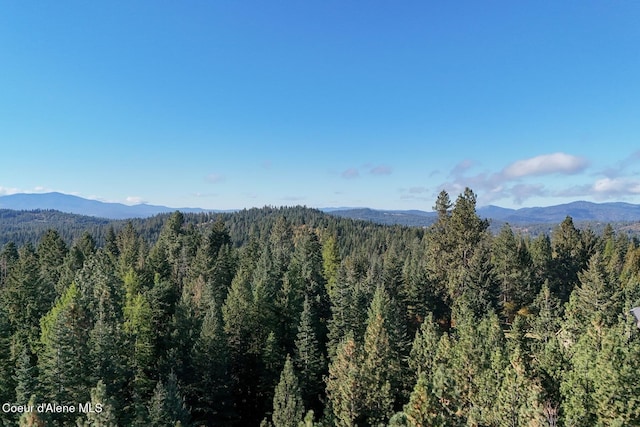 view of mountain feature featuring a forest view