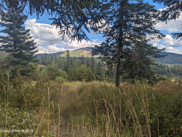 NKA Founders Rd, Emida, ID 83861 - photo 3