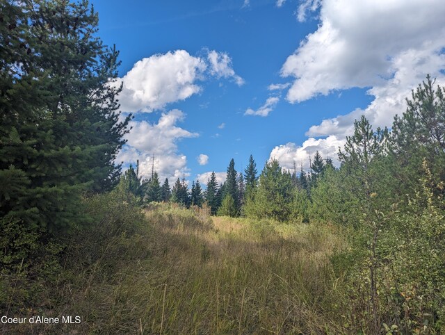 NKA Founders Rd, Emida, ID 83861 - photo 2