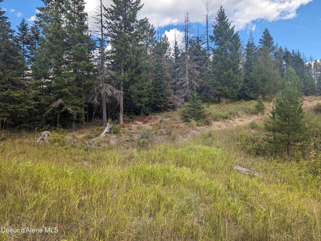 NKA Founders Rd, Emida, ID 83861 - photo 1
