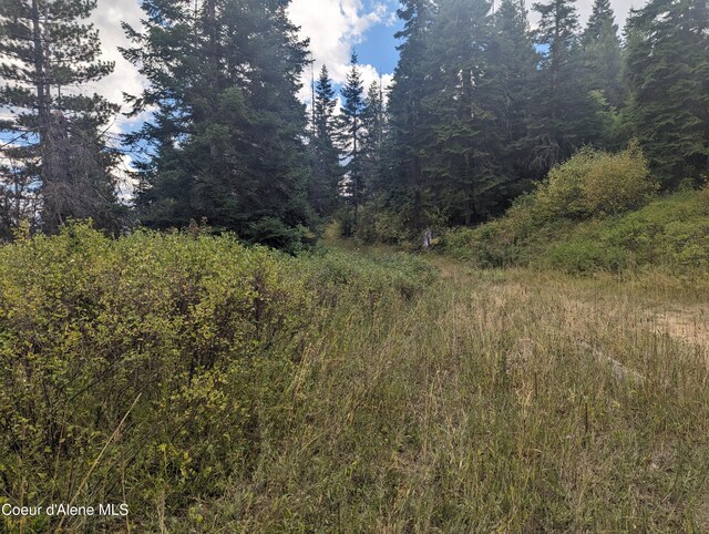 NKA Founders Rd, Emida, ID 83861 - photo 12