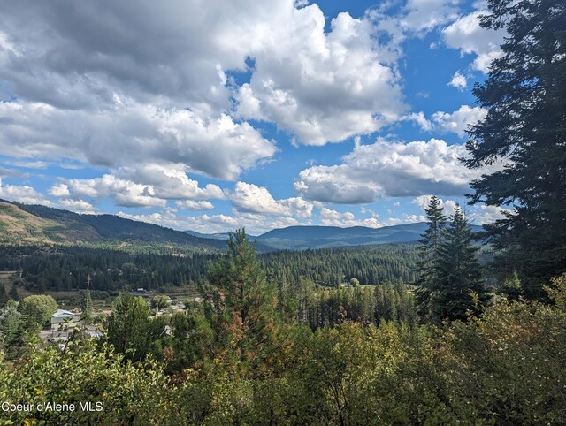 NKA Founders Rd, Emida, ID 83861 - photo 14