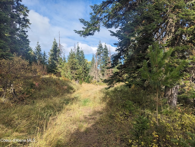 NKA Founders Rd, Emida, ID 83861 - photo 7