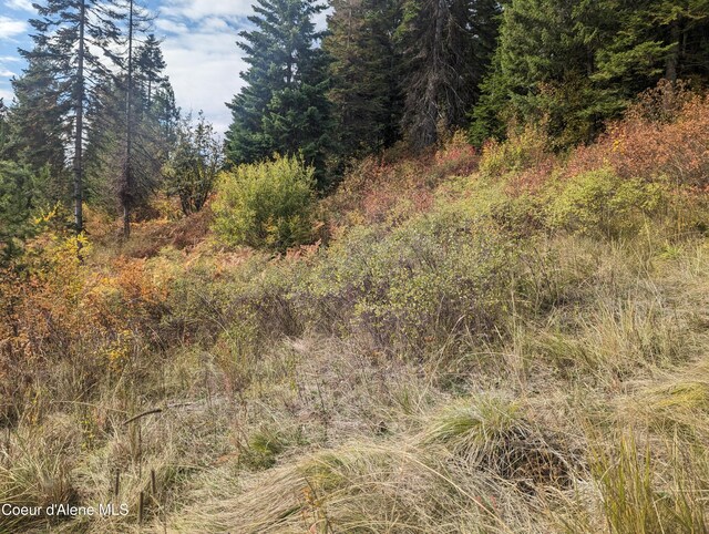 NKA Founders Rd, Emida, ID 83861 - photo 10