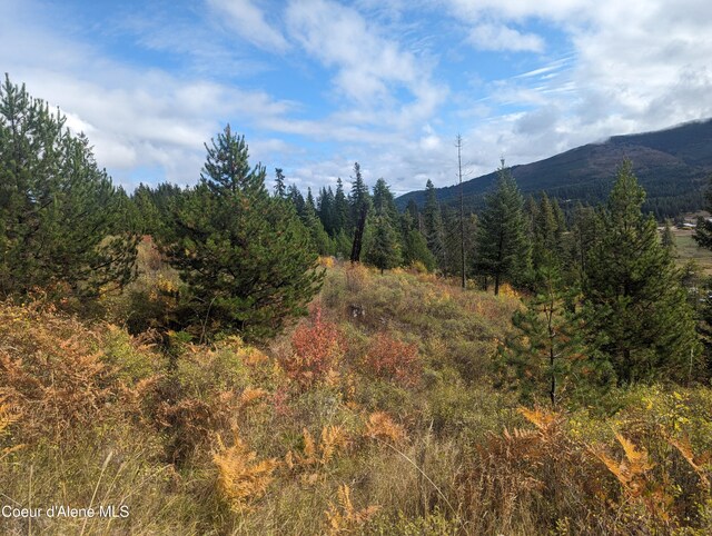NKA Founders Rd, Emida, ID 83861 - photo 11
