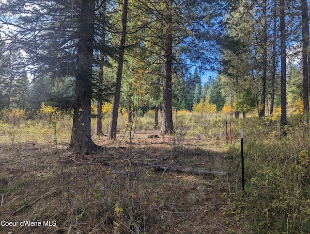 NKA Founders Rd, Emida, ID 83861 - photo 5