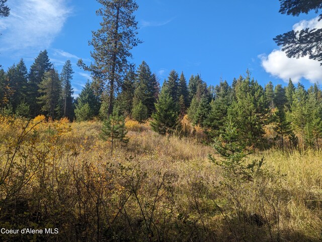 NKA Founders Rd, Emida, ID 83861 - photo 8