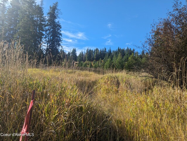 NKA Founders Rd, Emida, ID 83861 - photo 6