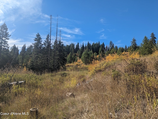 NKA Founders Rd, Emida, ID 83861 - photo 4